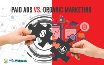 Which You Prefer for Well Result Organic or Paid Ads?